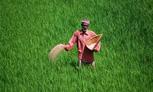 Why Cant Banks Be Instructed To Not Reduce Credit Rating Of Farmers Due To PRS Loans? Kerala High Court Asks