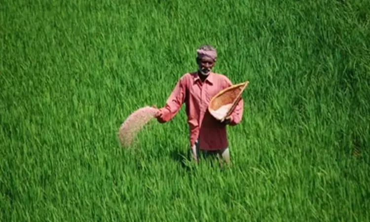 Cooperative Bank Cant Recover More Than Double The Principal From Farmer-Borrowers Till Reform Committee Reports: Allahabad High Court