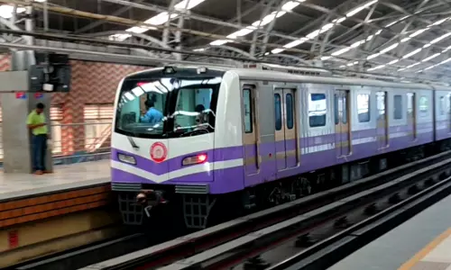 Balance Public Interest With Sustainability: Calcutta High Court Refuses Permission To Uproot Trees For Metro Rail Construction
