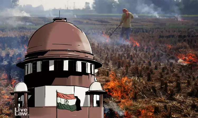 Delhi Air Pollution | Ensure Next Winter Is Better, Farm Fires Must Stop : Supreme Court Issues Directions To Punjab, Haryana & Delhi