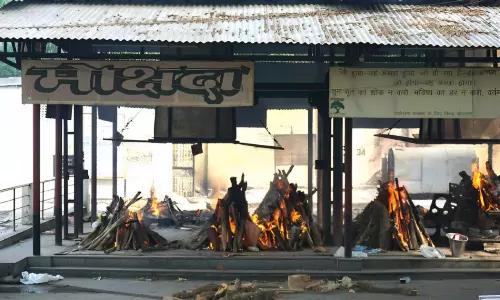 Dignity Extends Beyond Death: Allahabad HC Steps In As Stray Animals Desecrate Human Remains At Lucknow Crematorium Dignity Extends Beyond Death: Allahabad HC Steps In As Stray Animals Desecrate Human Remains At Lucknow Crematorium
