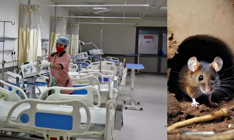 Allahabad High Court Takes Suo Moto Cognizance Of Rodent Menace In A Prayagraj Hospital Allahabad High Court Takes Suo Moto Cognizance Of Rodent Menace In A Prayagraj Hospital