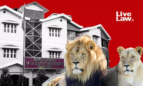 Why Create Controversy Naming Lion & Lioness After Sita & Akbar?: Calcutta High Court Suggests State To Change Animals Names