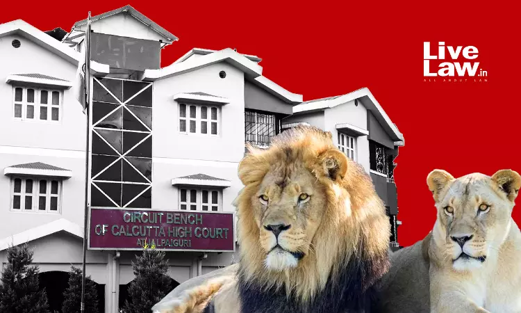 Why Create Controversy Naming Lion & Lioness After Sita & Akbar?: Calcutta High Court Suggests State To Change Animals Names
