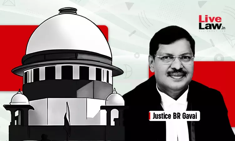 Justice Gavais Bench Expresses Concerns About Possibility Of Conflicting Orders After CJI- Benchs Direction On Zoos Within Forests Justice Gavais Bench Expresses Concerns About Possibility Of Conflicting Orders After CJI- Benchs Direction On Zoos Within Forests