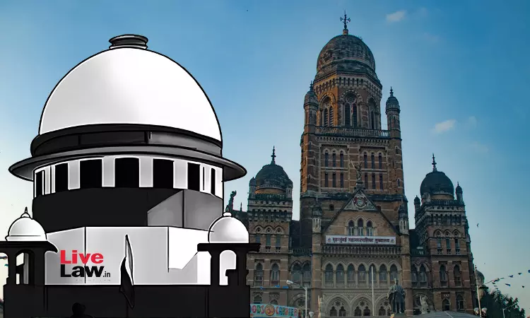 Supreme Court Refuses To Stop BMC From Cutting 46K Mangroves For Versova-Bhayander Coastal Road Supreme Court Refuses To Stop BMC From Cutting 46K Mangroves For Versova-Bhayander Coastal Road
