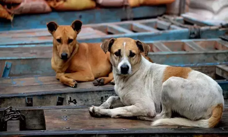 Karnataka High Court Stays FIR Against DRDO Employees For Allegedly Removing Stray Dogs From Campus Karnataka High Court Stays FIR Against DRDO Employees For Allegedly Removing Stray Dogs From Campus