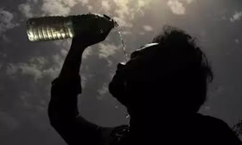 Earth Is Priceless, No Plan(et) B: Rajasthan HC Takes Suo Moto Cognizance Of Climate Change, Tells Govt To Enact Laws To Prevent Deaths From Heatwaves