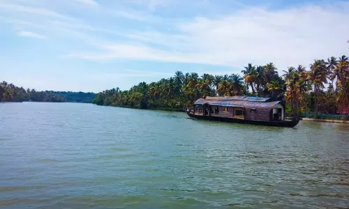 Ashtamudi Wetland Conservation: Environment Secretary Tenders Unconditional Apology Before Kerala HC Over Delay In Implementing Directions