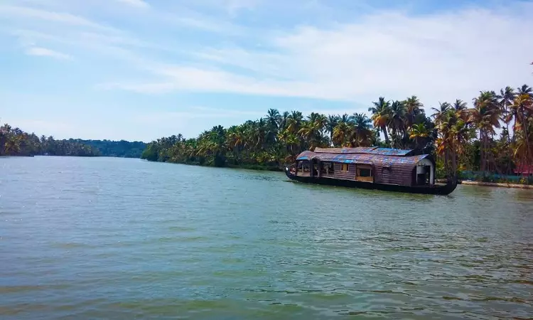 Kerala High Court Directs Formation Of Management Unit, Public Feedback Mechanism For Conservation Of Ashtamudi Wetland Kerala High Court Directs Formation Of Management Unit, Public Feedback Mechanism For Conservation Of Ashtamudi Wetland