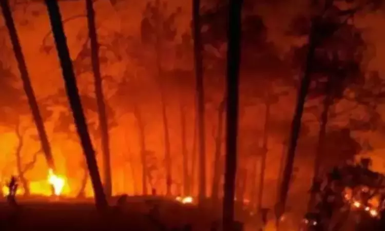 Forest Fire In Morni Hills | Punjab & Haryana High Court Asks Govt To Submit Details Of Steps Initiated To Control Fire Forest Fire In Morni Hills | Punjab & Haryana High Court Asks Govt To Submit Details Of Steps Initiated To Control Fire