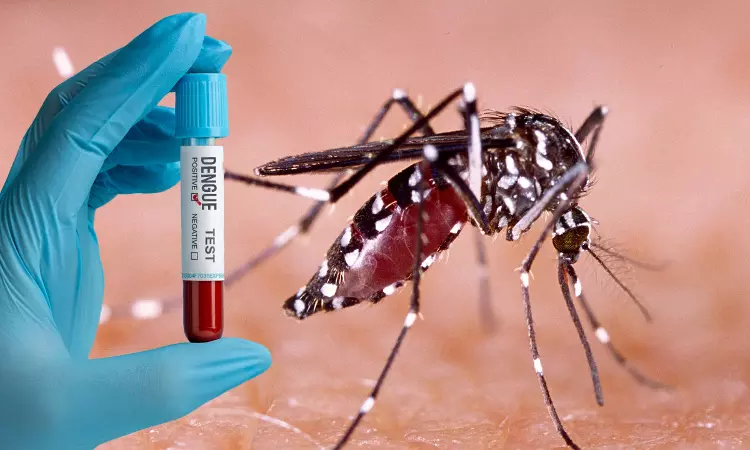 Karnataka High Court Takes Suo Moto Cognizance Of Rising Dengue Cases In Bengaluru, Rural Areas Karnataka High Court Takes Suo Moto Cognizance Of Rising Dengue Cases In Bengaluru, Rural Areas