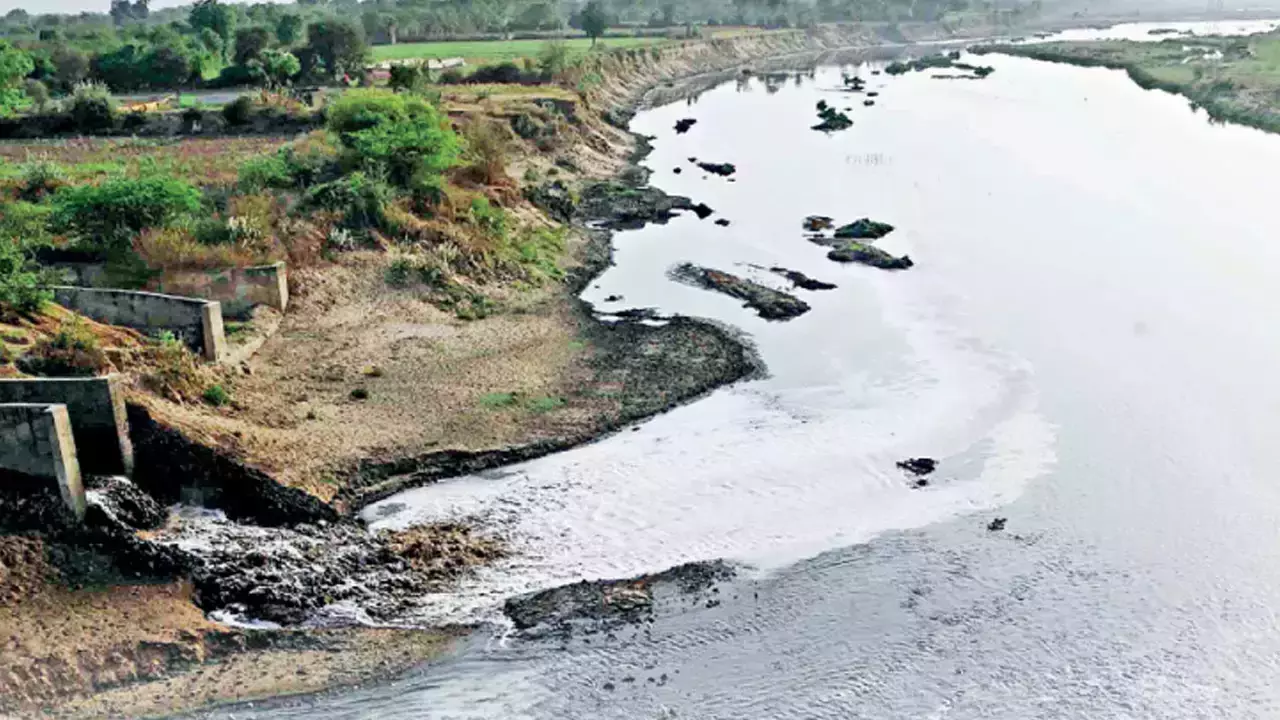 [Sabarmati River Pollution] Gujarat HC Pulls Ahmedabad Mega Clean Associations CEO For Sharing Unverified Video On Illegal Waste Dumping