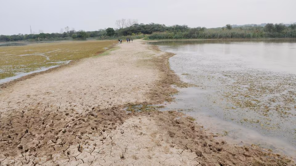 Punjab Govt Files Report On Issue Of Drying Up Of Waterbodies Around Chandigarh After High Court Takes Suo Moto Cognizance Of Impact On Wildlife