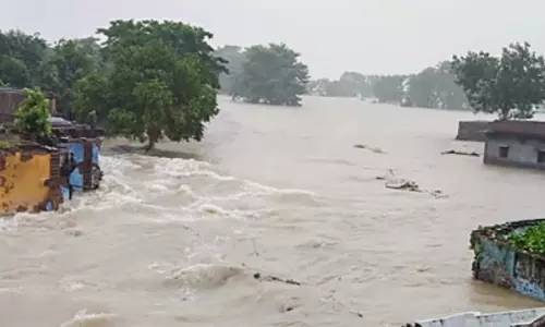 Chhattisgarh High Court Takes Suo Moto Cognizance Of Plight Of Flooded Villages In Bijapur, Seeks District Collectors Reply