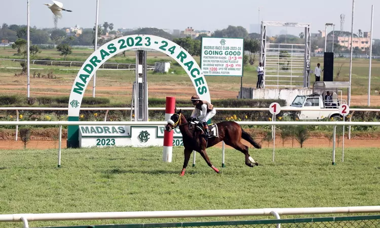 Madras High Court Reserves Orders On Plea By Madras Race Club Seeking Exemption From Pre-Suit Notice To Govt Over Lease Termination Madras High Court Reserves Orders On Plea By Madras Race Club Seeking Exemption From Pre-Suit Notice To Govt Over Lease Termination