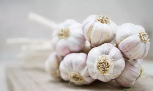 Allahabad HC Summons State Food Safety Dept Official After Advocate Brings Chinese Garlic To Courtroom
