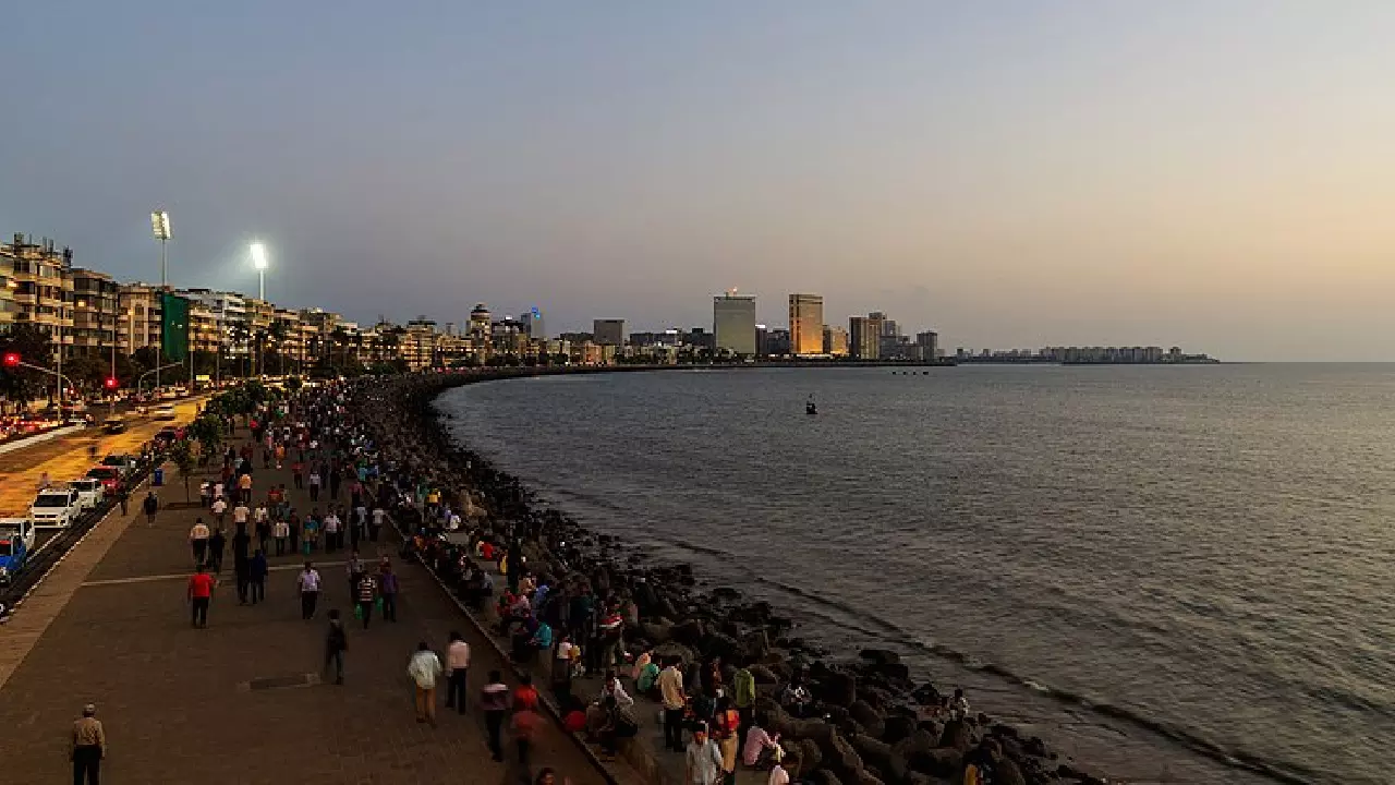 Study Finds Micro Polythene In Fishes: Bombay High Court Takes Suo-Moto Cognizance Of Garbage Pollution On Mumbai Seashores