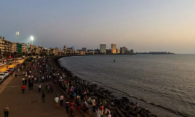 Study Finds Micro Polythene In Fishes: Bombay High Court Takes Suo-Moto Cognizance Of Garbage Pollution On Mumbai Seashores Study Finds Micro Polythene In Fishes: Bombay High Court Takes Suo-Moto Cognizance Of Garbage Pollution On Mumbai Seashores