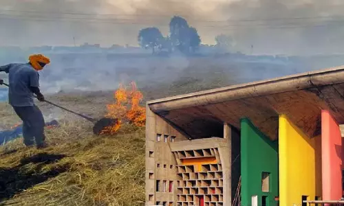 Whether Burning Of Paddy Stocks In Punjab Is Causing More Pollution Or Burning Paddy Straw Pellets In Brick Kilns? High Court To Decide