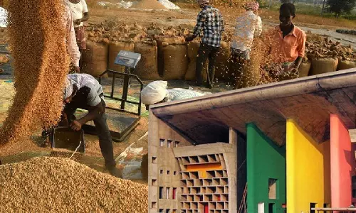 Hope Centre And State Will Resolve Dispute: High Court On Shortage Of FCI Godowns In Punjab For Storing Paddy
