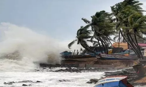 Cyclone Dana: Orissa High Court Asks Cuttack Authorities To Remove Bamboo Structures, Hoardings; Flags Artificial Scarcity Of Commodities
