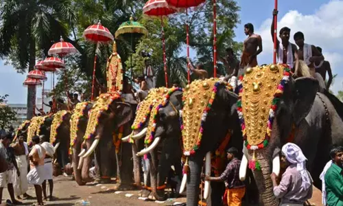 If Elephants Are Not Protected Next Generation Would See Them In Museums, Like Dinosaurs: Kerala HC In Pleas To Prohibit Parading In Festivals