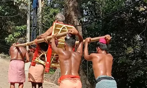 Dolly Workers With Police Verification Certificate, Health Cards To Carry Pilgrims To Sabarimala: Kerala High Court Issues Directions