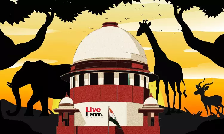 National Wildlife Board Not Holding Annual Sittings, Powers Delegated To Standing Committee : Centre Tells Supreme Court National Wildlife Board Not Holding Annual Sittings, Powers Delegated To Standing Committee : Centre Tells Supreme Court