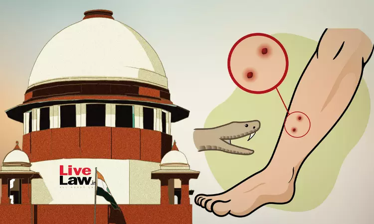 Supreme Court Issues Notice On PIL Raising Issue Of Snake Bites In India Supreme Court Issues Notice On PIL Raising Issue Of Snake Bites In India