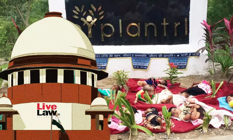 Supreme Court Issues Directions To Protect Sacred Groves, Lauds Rajasthans Piplantri Village Initiative To Plant 111 Trees For Every Girl Child Born Supreme Court Issues Directions To Protect Sacred Groves, Lauds Rajasthans Piplantri Village Initiative To Plant 111 Trees For Every Girl Child Born