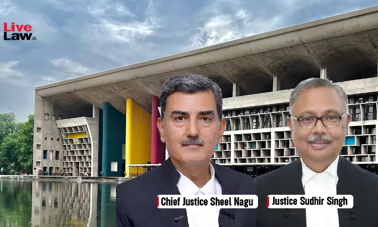 High Court Says Punjab Govt Not Conducing Municipal Elections In Certain Areas Without Seeking Extension From SC May Amount To Contempt High Court Says Punjab Govt Not Conducing Municipal Elections In Certain Areas Without Seeking Extension From SC May Amount To Contempt