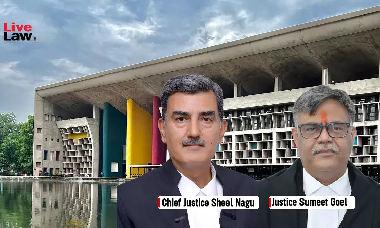 Punjab Cop Who Allegedly Turned Drug Kingpin Granted Bail After 11 Yrs In Jail, High Court Asks Him To Plant 100 Saplings Punjab Cop Who Allegedly Turned Drug Kingpin Granted Bail After 11 Yrs In Jail, High Court Asks Him To Plant 100 Saplings