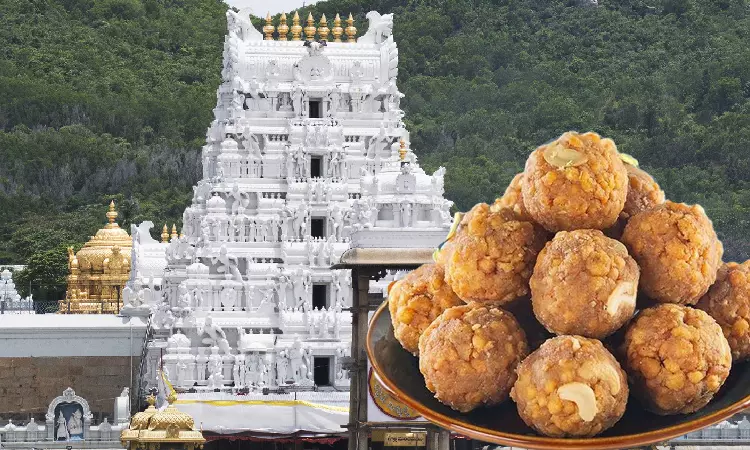 Delhi High Court Grants Interim Relief To Hyderabad-Based Dairy Company Over Reports Linking It To Tirupati Laddu Row Delhi High Court Grants Interim Relief To Hyderabad-Based Dairy Company Over Reports Linking It To Tirupati Laddu Row