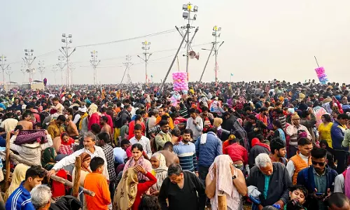 Maha Kumbh Stampede | PIL In Allahabad HC Seeks Action Against Erring Officials, Status Report & Release Of Human Casualty Figures