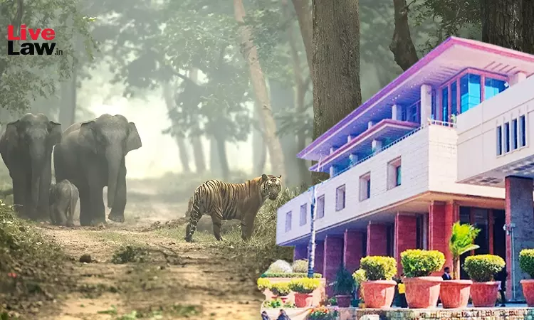 Awarding Less Than Minimum Prescribed Sentence Under Wildlife Protection Act Would Frustrate Its Object, Set A Dangerous Precedent: Delhi HC Awarding Less Than Minimum Prescribed Sentence Under Wildlife Protection Act Would Frustrate Its Object, Set A Dangerous Precedent: Delhi HC
