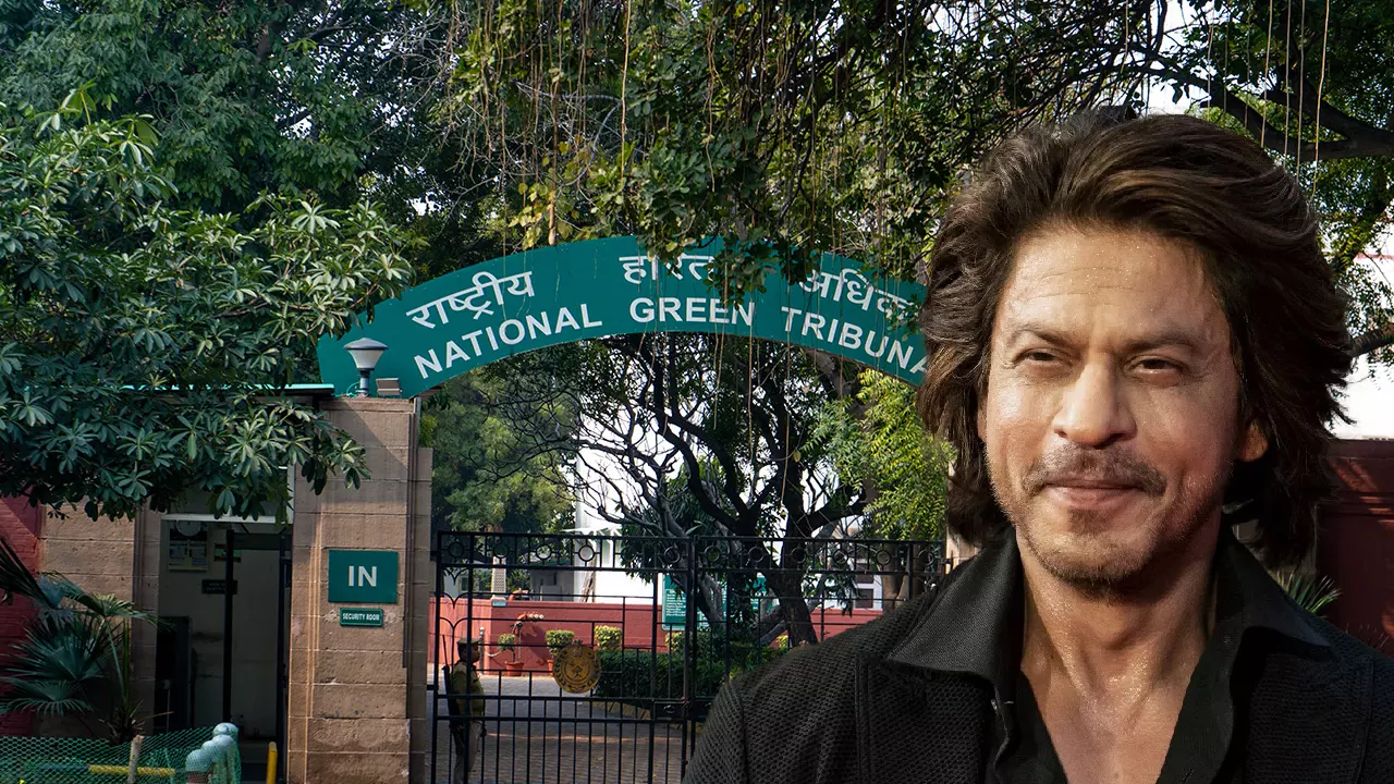 NGT Asks Activist To Submit Evidence On Alleged Environmental Violation In Renovating Shahrukh Khans Residence Mannat NGT Asks Activist To Submit Evidence On Alleged Environmental Violation In Renovating Shahrukh Khans Residence Mannat