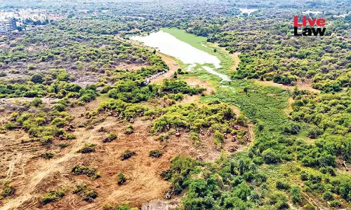 Kancha Gachibowli Tree Felling: Telangana High Court Extends Interim Order Halting Deforestation; Next Hearing On April 7