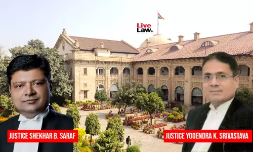 DM Not Required To Decide Representations Of Persons Affected By Transmission Line Unless Telegraph Authority Refers It: Allahabad High Court
