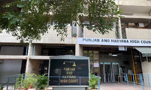 Were A Country Where Clerks Become Chief Justices, Tribal Lady Becomes President: P&H High Court On Elites Belittling Small Businesses