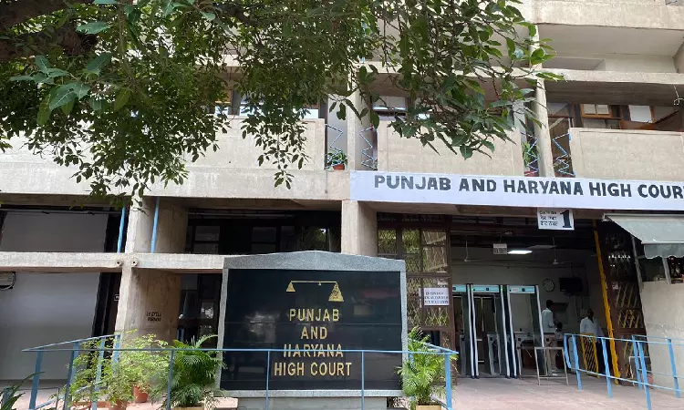 Driving Licence Valid For 30-Days After Expiry: Punjab & Haryana High Court Dismisses Insurers Appeal Seeking Recovery Rights Driving Licence Valid For 30-Days After Expiry: Punjab & Haryana High Court Dismisses Insurers Appeal Seeking Recovery Rights