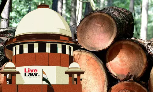 Were Not Authorised: Supreme Court Vacation Bench Declines Urgent Hearing Of Plea Against Felling 875 Trees In Himachal Pradesh
