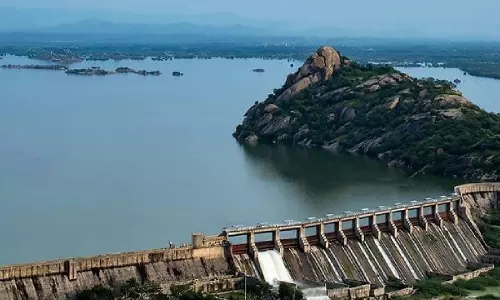 Rajasthan High Court Quashes FIR Against Farmers Protesting Against Jawai Dam Distribution Issue, Says Water Is A Matter Of Survival For Them