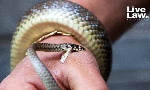 Mulling Over Including Snake Bite As Notifiable Disease Under Public Health Act: State Tells Kerala High Court