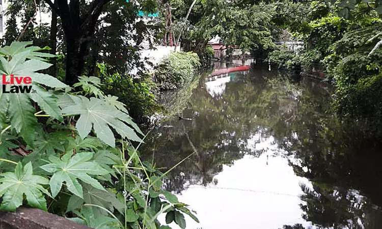 Kerala High Court Directs Vigil On Kochis Canals, Closes Six-Year-Old PIL Kerala High Court Directs Vigil On Kochis Canals, Closes Six-Year-Old PIL