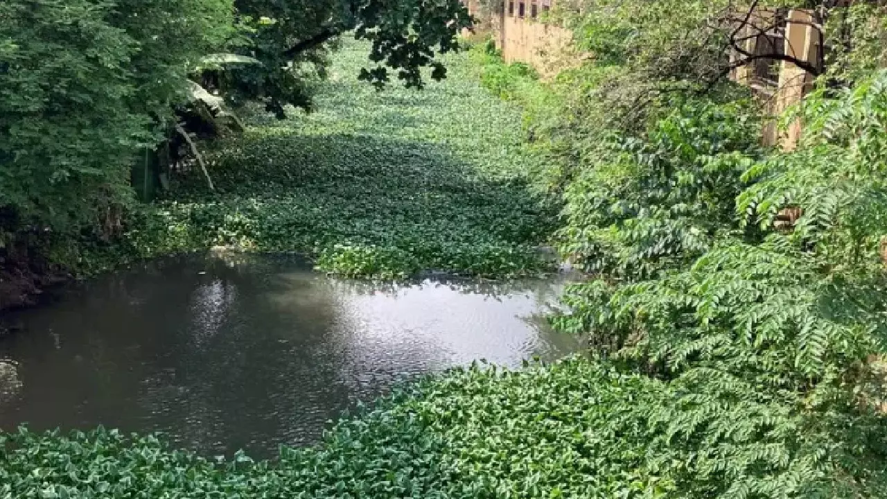 Banks Constitute Integral Part Of Waterbody, Any Encroachment Violates Public Trust Doctrine: Andhra Pradesh High Court