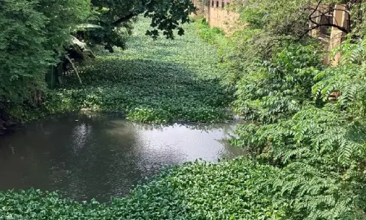 Banks Constitute Integral Part Of Waterbody, Any Encroachment Violates Public Trust Doctrine: Andhra Pradesh High Court Banks Constitute Integral Part Of Waterbody, Any Encroachment Violates Public Trust Doctrine: Andhra Pradesh High Court