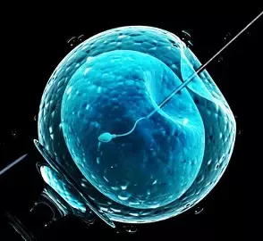 False Assurances Regarding IVF Success Is Deficiency In Service And Unfair Trade Practice: Ernakulum District Commission False Assurances Regarding IVF Success Is Deficiency In Service And Unfair Trade Practice: Ernakulum District Commission