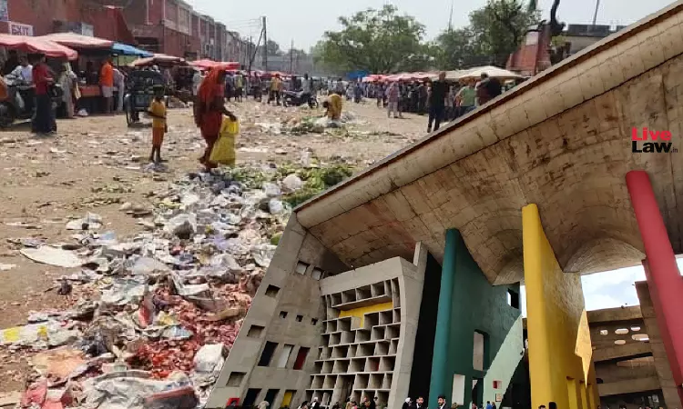 Why Are You Permitting Anarchy? High Court To Chandigarh Admin Over Deplorable Condition Of Vegetable Market, Takes Suo Moto Cognizance Why Are You Permitting Anarchy? High Court To Chandigarh Admin Over Deplorable Condition Of Vegetable Market, Takes Suo Moto Cognizance