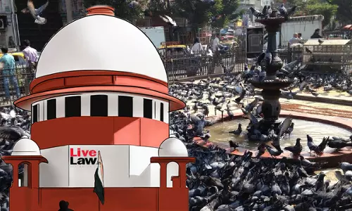 Supreme Court Refuses To Interfere With Bombay HC Order Against Pigeon Feeding In Mumbai Kabutarkhanas